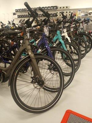 Electric Bikes