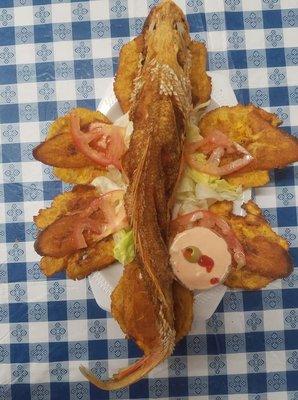 Chillo Frito con Tostones (Fried Red Snapper with Fried Green Plantain)