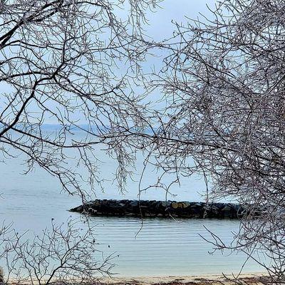 View of Patuxent River and swimming beach