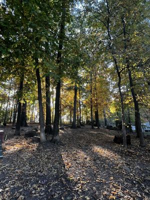 Dulles Gateway Dog Park