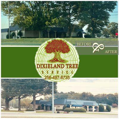 Dixieland Tree Services