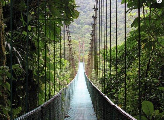 Monteverde Cloud Forest is a sanctuary of peace.