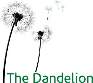 Native Roots - Dandelion