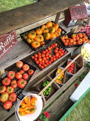 Fresh Produce right from the farm!