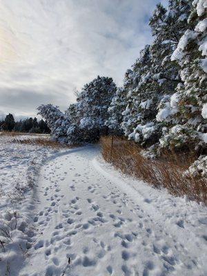 Trail maintained in winter