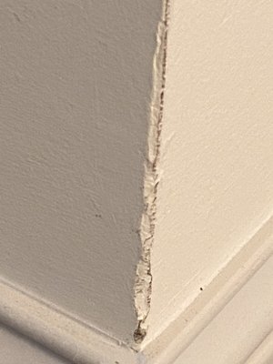 Damaged wall