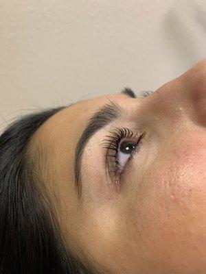 Lash lift & tint.