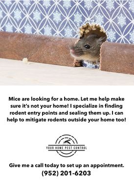 Your Home Pest Control