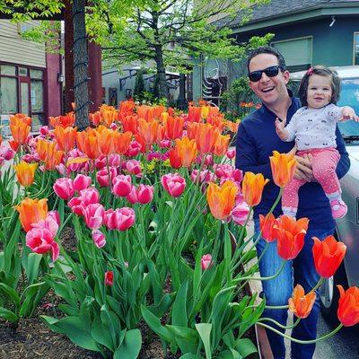 Tulips in full bloom outside the farmers market!