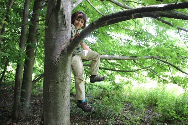 Child up a tree @ the ALNC