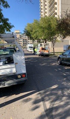 Regency does not have enough parking so any guests or workers block street access in a no parking zone.