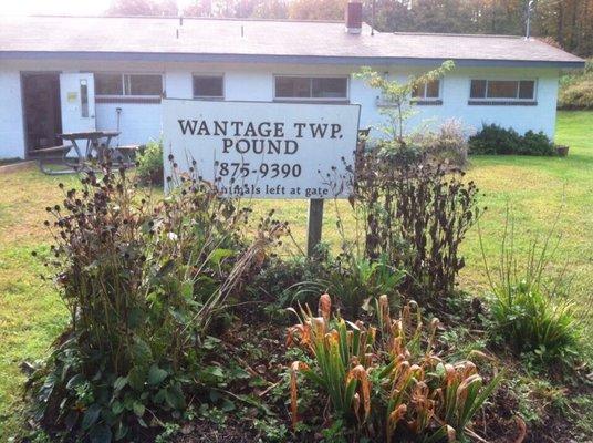 Wantage Animal Shelter