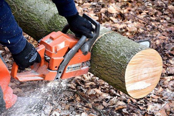 Green's Complete Tree and Stump Removal