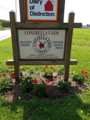 Conebella Farm