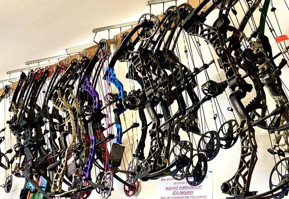 Huge selection of bows and other archery gear!