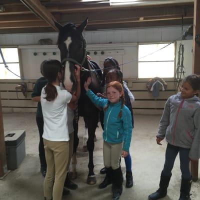 kids enjoying summer camp