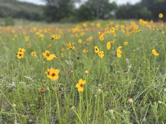 Grelle Recreation Area