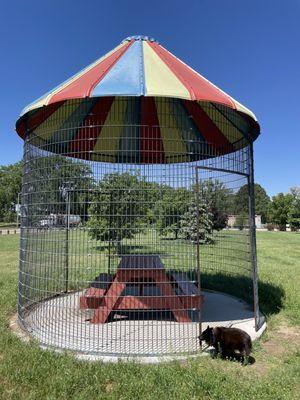 Happy Hound Dog Retreat Park