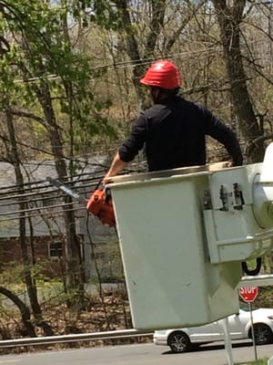 Bucket to take down top branches of trees