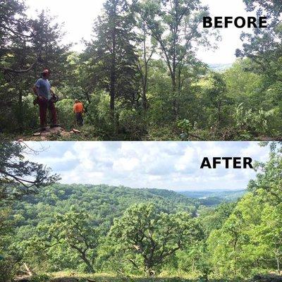 Quercus Land Stewardship Services