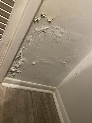 Water damage in closet