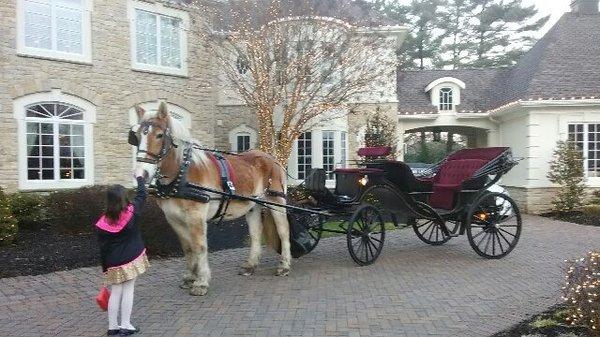 New Freedom Horse Drawn Carriages