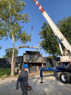 Tree fell on structure removed with crane