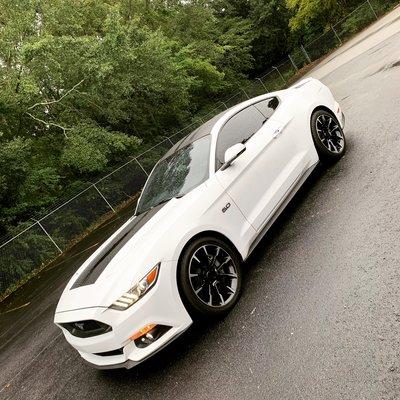 Customize your vehicle with some vinyl accents. Mustang GT spicing it up the carbon fiber accents.