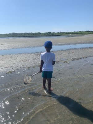 Assateague Adventure