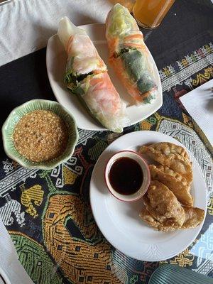 Vietnamese Spring Roll Pot Stickers