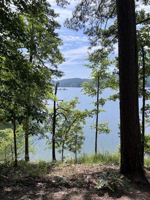 Caddo bend lake trail