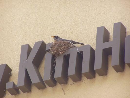 Even our animal neighbors love Kim Henry Dental!