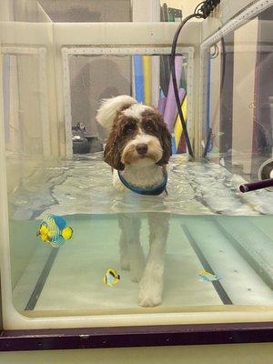 Hydrotherapy works!