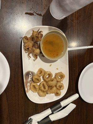 $12 Calamari appetizer. Fork for comparison.