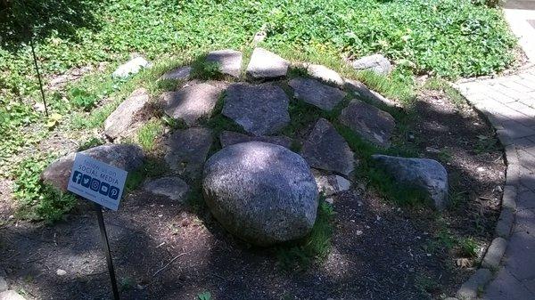 Children's Garden stone turtle