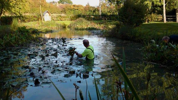 pond maintenance specialist