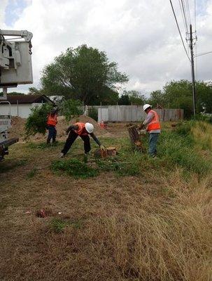 Tree Removal