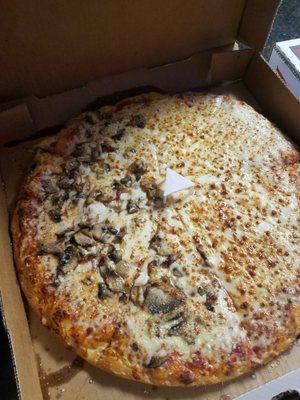 Large thin crust with extra cheese and half mushrooms