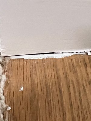 Failed to caulk any flooring