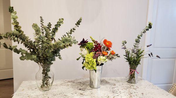 Split my Cutleaf blooms in vases