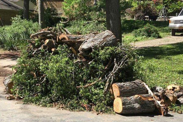 Call JUNX for your yard debris removal!