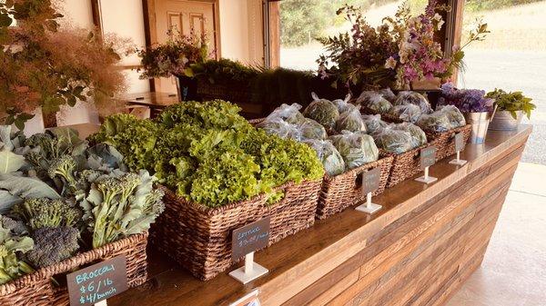 Velma’s Farm Stand - Filigreen Farm