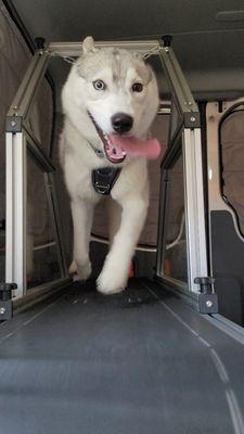 Rocket on the treadmill