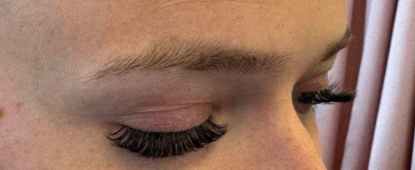 Elegant Lashes on Birch