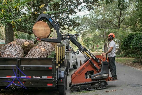 Climber Steve's Tree Care