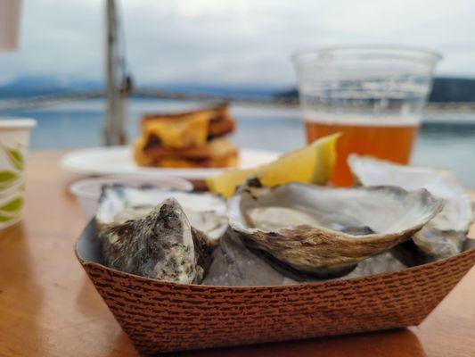 Oysters