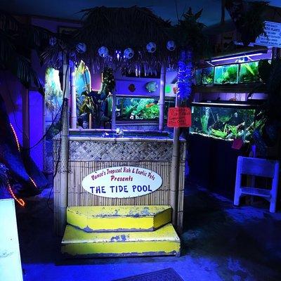 Vance's Tropical Fish & Exotic Pets