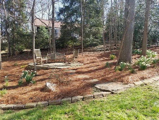 Seating area in woods with Pine Needles