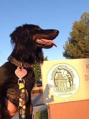 Black Jack waiting to enroll