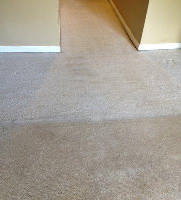 Dirt and debris darken your carpets over time Sometimes it is difficult to tell what shade your carpet is supposed to be.